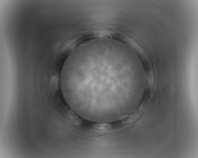 X0000113140427200909110938