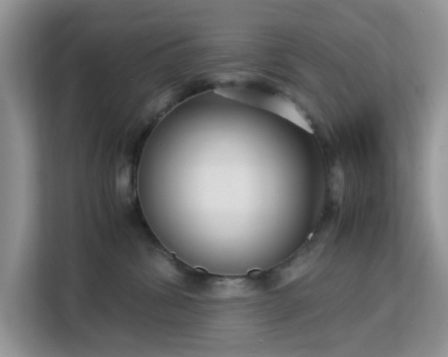 X0000113140428200909110938