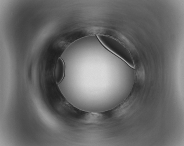 X0000113140429200909110938