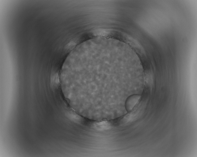 X0000113140431200909110938