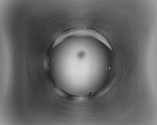 X0000113140432200909110938