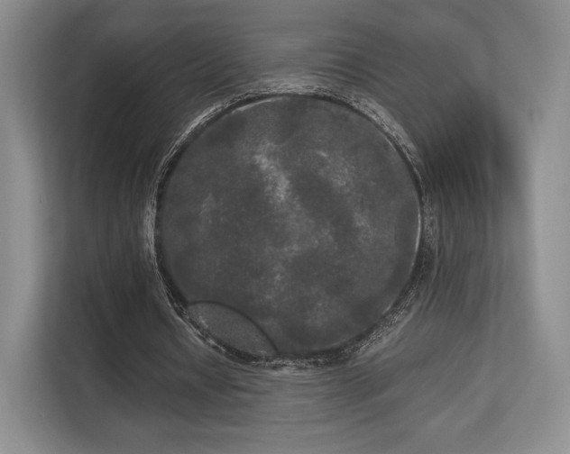 X0000113140434200909110937