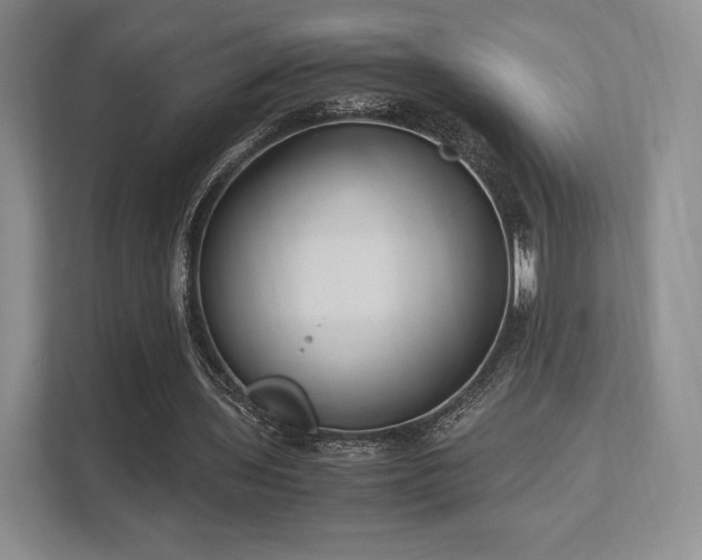 X0000113140435200909110937