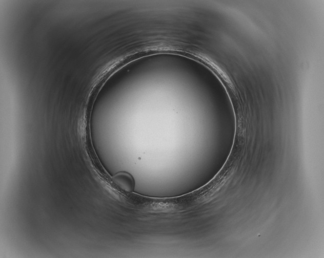 X0000113140437200909110937