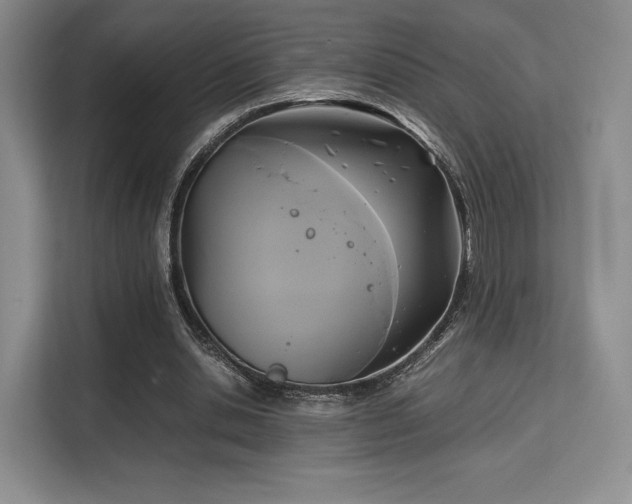 X0000113140438200909110937