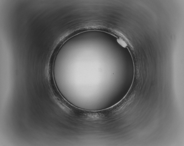 X0000113140439200909110937