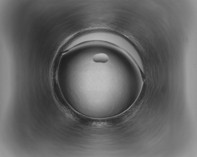 X0000113140440200909110937