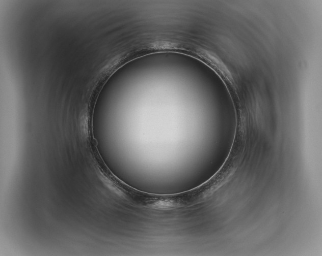 X0000113140441200909110937