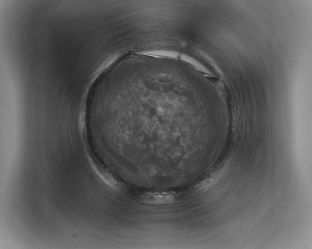 X0000113140443200909110937