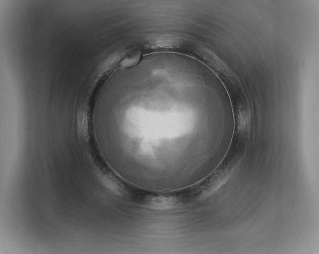 X0000113140444200909110937