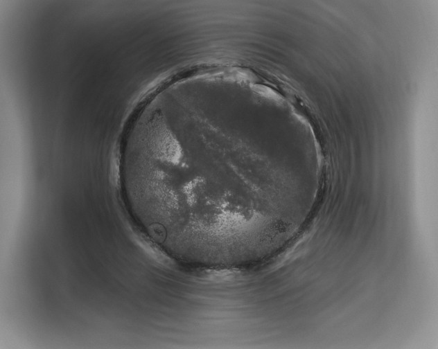 X0000113140446200909110937