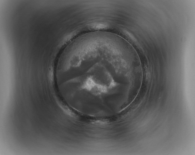 X0000113140447200909110937