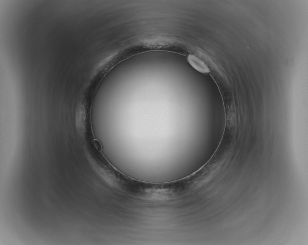 X0000113140448200909110937