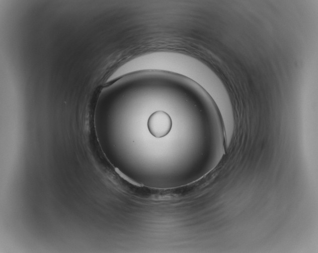 X0000113140452200909110937