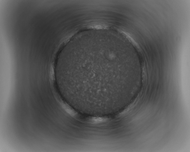 X0000113140453200909110937