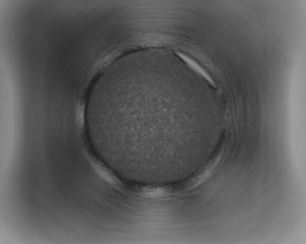 X0000113140454200909110937