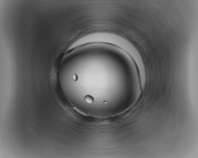 X0000113140456200909110937