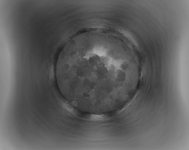 X0000113140457200909110937