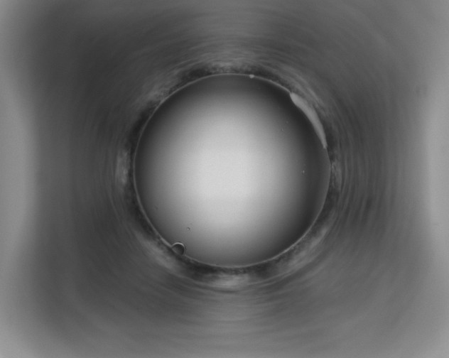 X0000113140458200909110937