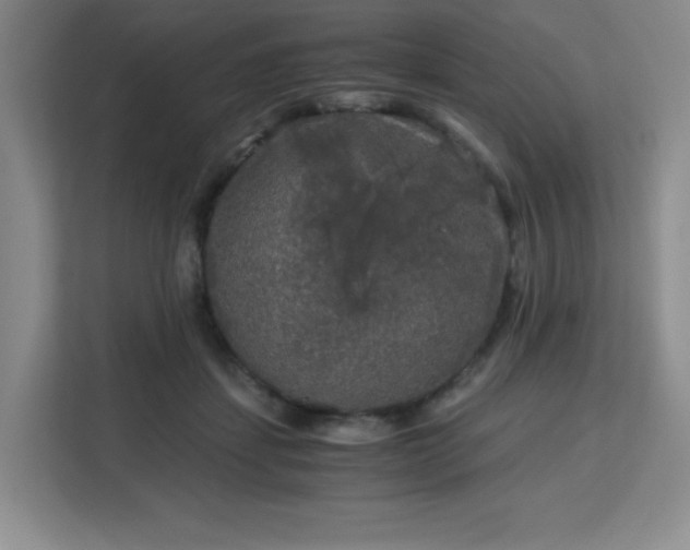 X0000113140459200909110937