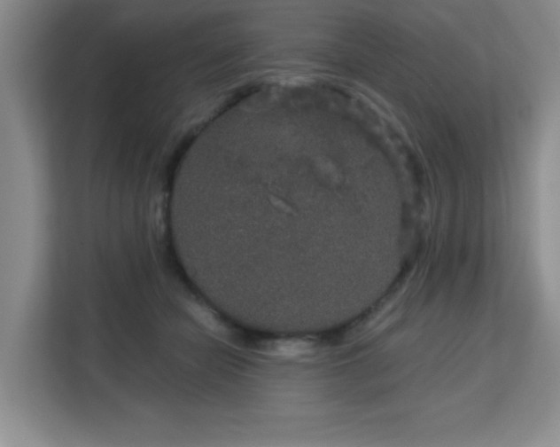 X0000113140462200909110937