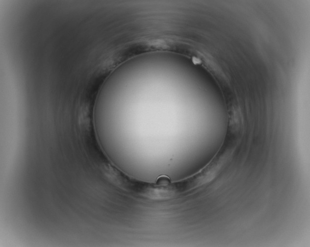 X0000113140466200909110937