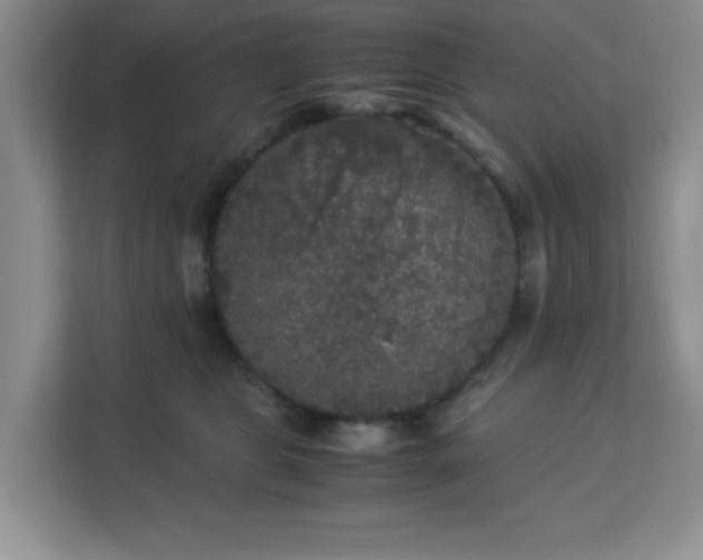 X0000113140469200909110937