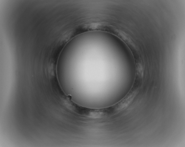 X0000113140470200909110937