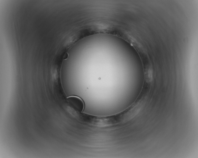 X0000113140472200909110938