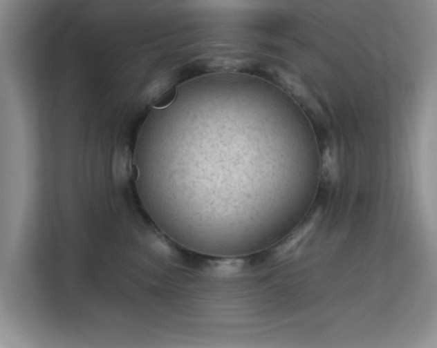 X0000113140474200909110938