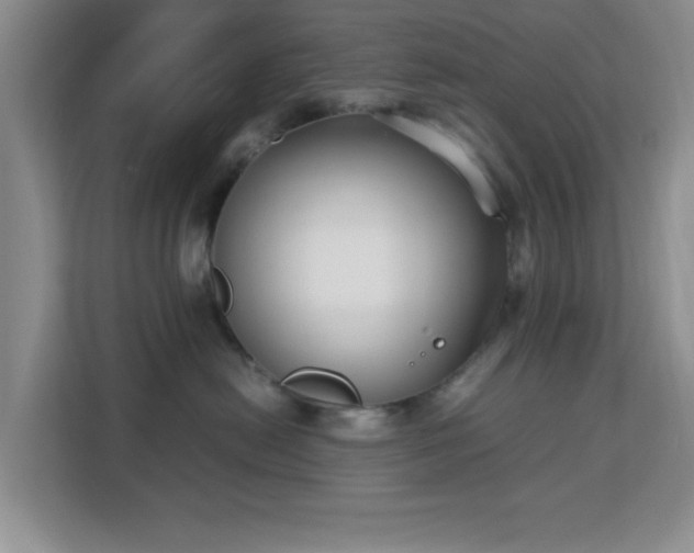 X0000113140478200909110938