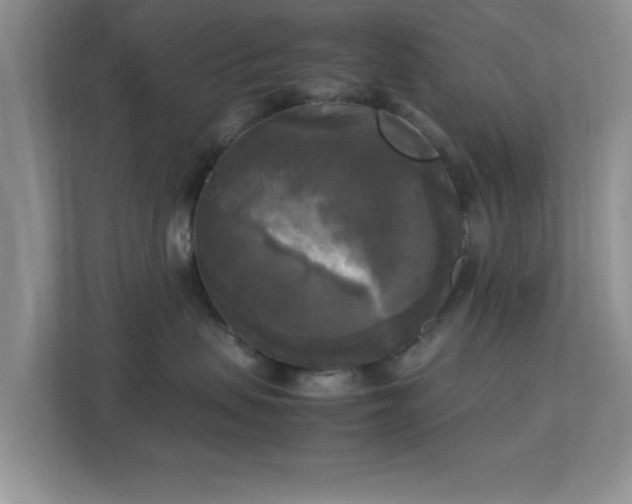 X0000113140479200909110938