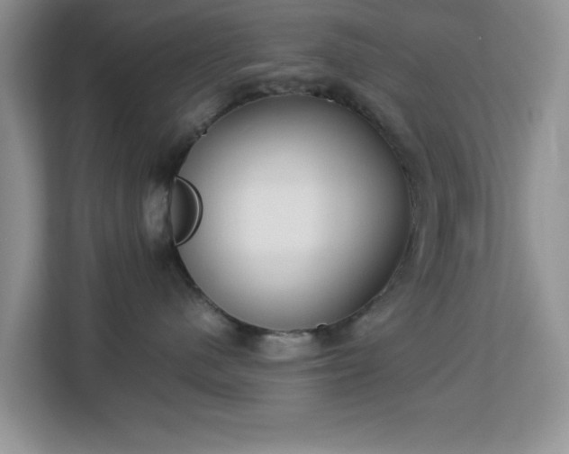 X0000113140480200909110938