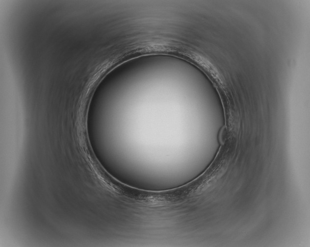 X0000113140481200909110937