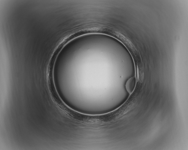 X0000113140483200909110937