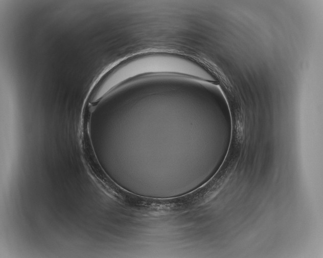 X0000113140484200909110937