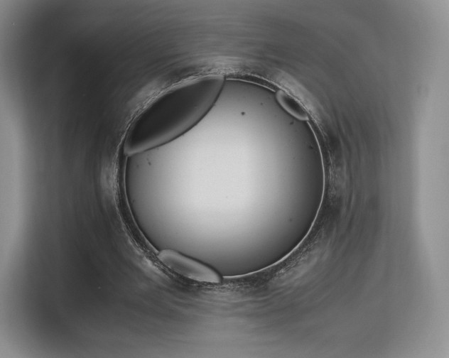 X0000113140485200909110937