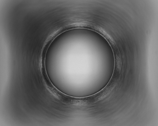 X0000113140486200909110937