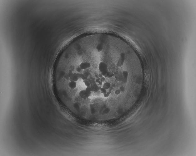 X0000113140487200909110937