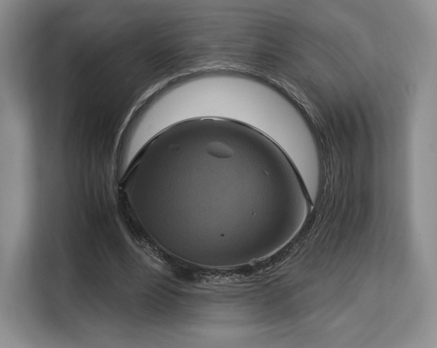 X0000113140488200909110937