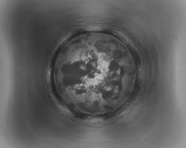 X0000113140491200909110937