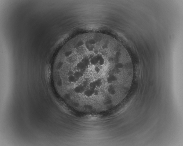 X0000113140495200909110937