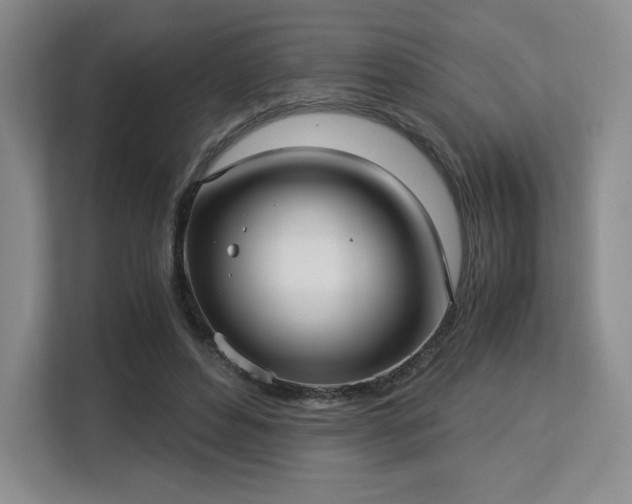 X0000113140496200909110937