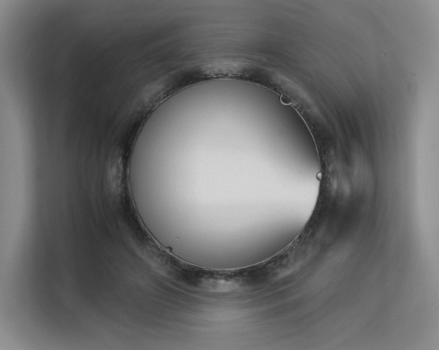 X0000113140498200909110937