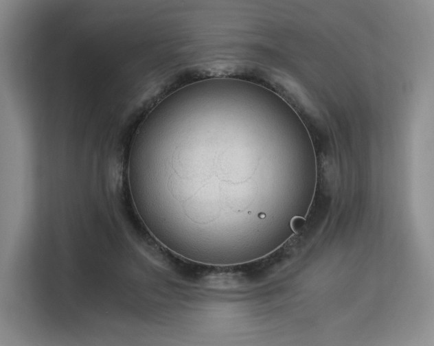 X0000113140499200909110937