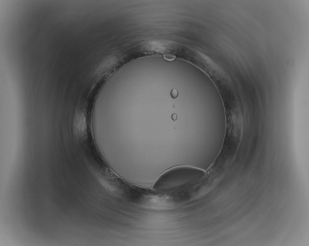 X0000113140500200909110937