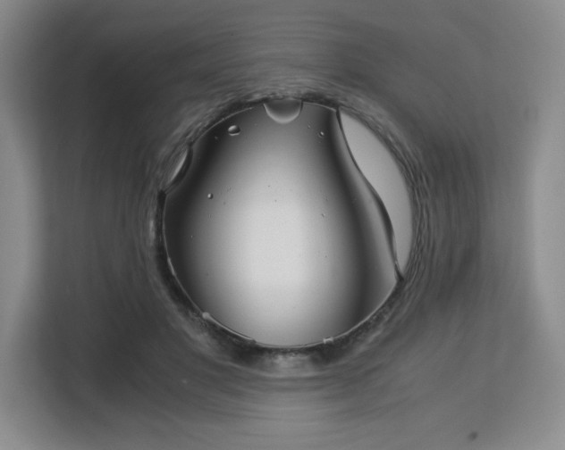 X0000113140501200909110937