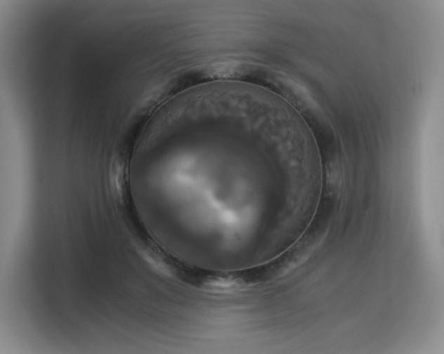 X0000113140503200909110937