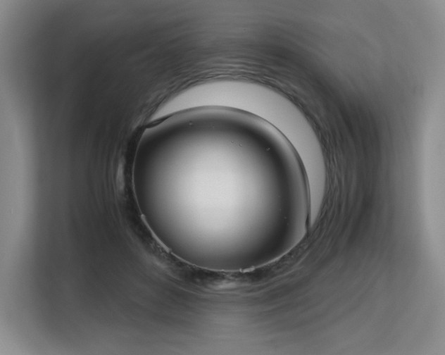 X0000113140504200909110937