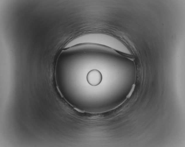 X0000113140505200909110937